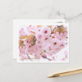 Cartão Postal Cherry Blossom "Azuma-nishiki" ポストカード