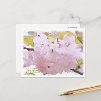 Cartão Postal Cherry Blossom "Benitemari" ポストカード