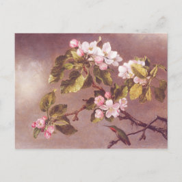 Cartão Postal Cherry Blossom Branch