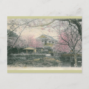 Cartão Postal Cherry Blossom de Nakashima, Nagasaki Japão