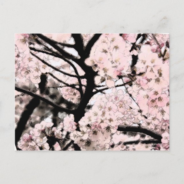 Cartão Postal Cherry Blossom Editado (Frente)