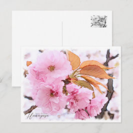 Cartão Postal Cherry Blossom "Hanagasa"