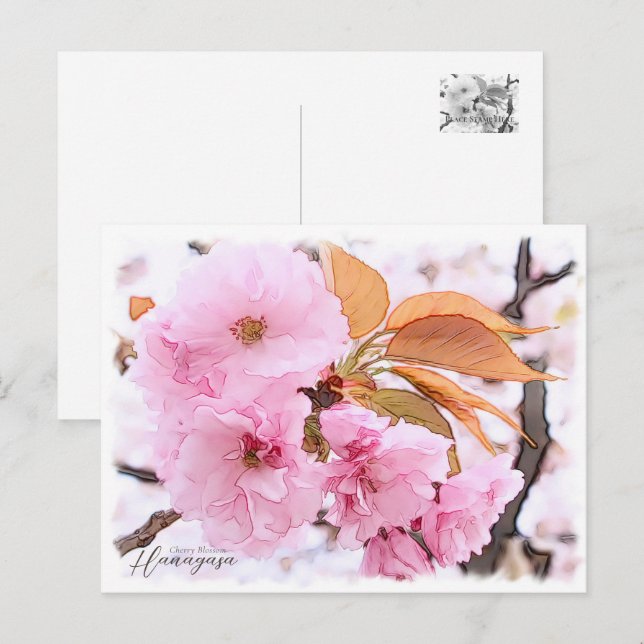 Cartão Postal Cherry Blossom "Hanagasa" (Frente/Verso)