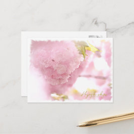 Cartão Postal Cherry Blossom "Hayashi-ichigo" ポストカード