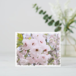 Cartão Postal Cherry Blossom "Ichiyo"