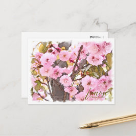Cartão Postal Cherry Blossom "Imose" ポストカード