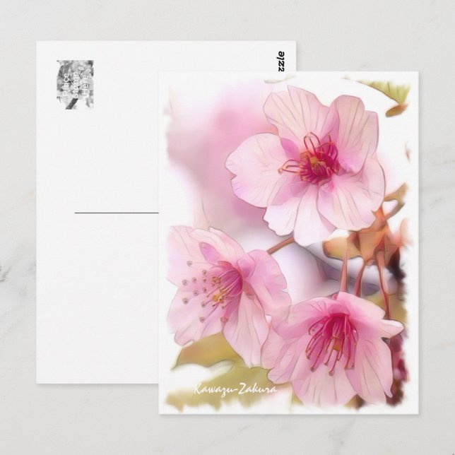 Cartão Postal Cherry blossom: Kawazu-Zakura ポストカード (Frente/Verso)