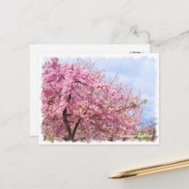 Cartão Postal Cherry blossom: Kawazu-Zakura ポストカード