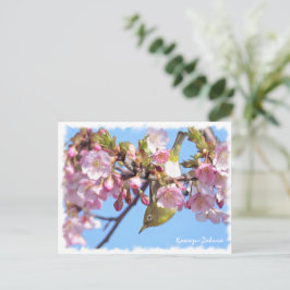 Cartão Postal Cherry blossom: Kawazu-Zakura ポストカード