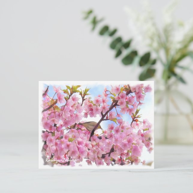 Cartão Postal Cherry blossom: Kawazu-Zakura ポストカード (Em pé/Frente)