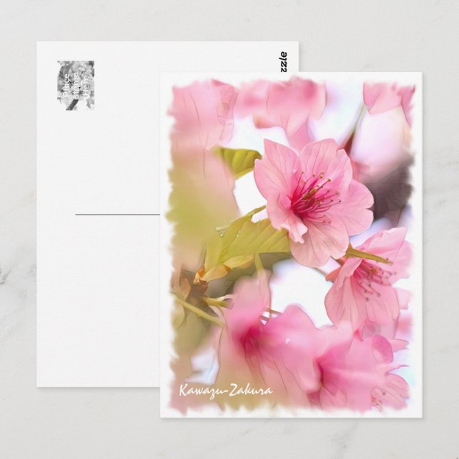 Cartão Postal Cherry blossom: Kawazu-Zakura ポストカード (Frente/Verso)