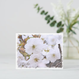 Cartão Postal Cherry Blossom "Shizuka"