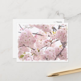 Cartão Postal Cherry Blossom "Shogetsu" ポストカード