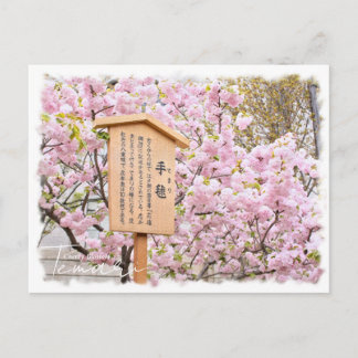 Cartão Postal Cherry Blossom "Temari" ポストカード