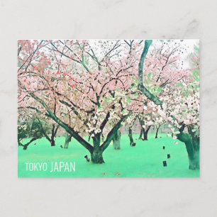 Cartão Postal Cherry Blossom Tokyo Park viagem japonês
