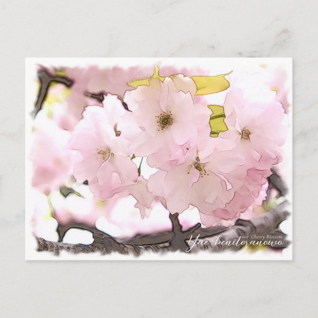 Cartão Postal Cherry Blossom "Yae-benitoranowo" (Frente)
