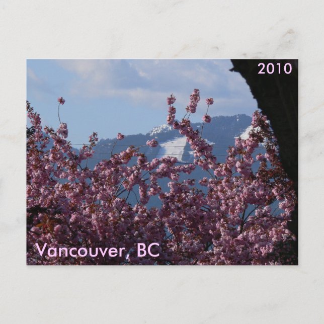 Cartão Postal Cherry Blossoms e Olimpiadas de inverno (Frente)