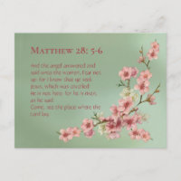 Cherry Blossoms em Rosa e Teal