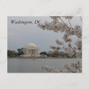 Cartão Postal Cherry Blossoms: Washington, D.C. Cartão-postal