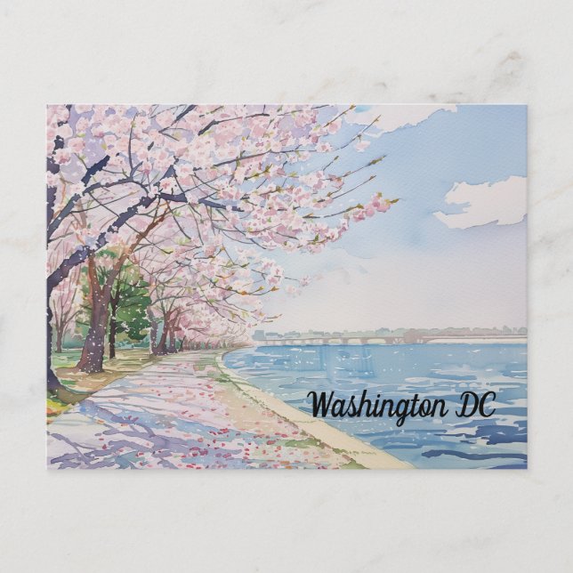 Cartão Postal Cherry Blossoms Washington DC Tidal Basin (Frente)