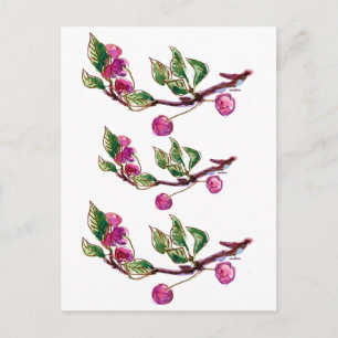 Cartão Postal Cherry Branch