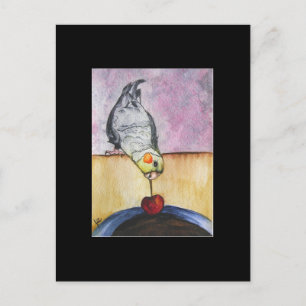 Cartão Postal Cherry Dip (cockatiel) ACEO Art Trading Card