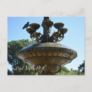 Cartão Postal Cherry Hill Fountain Central Park Fotografia NYC