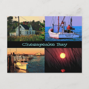 Cartão Postal Chesapeake Bay Postcard