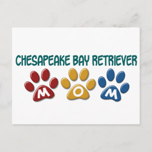 Cartão Postal CHESAPEAKE BAY RECUPERAR A Pata Mãe Impressão 1