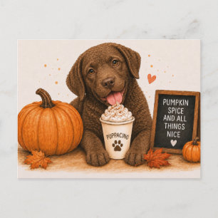 Cartão Postal Chesapeake Bay Retriever Especiaria de Abóbora Que