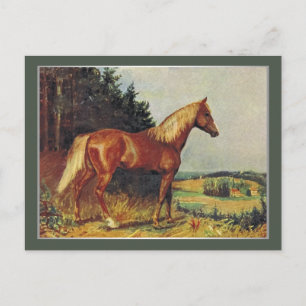 Cartão Postal Chestnut Horse