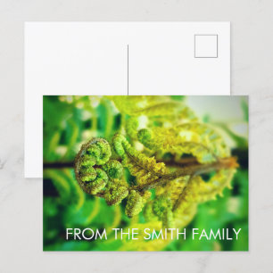 CARTÃO POSTAL CHIC GREEN LEAFY TROPICAL FERN NEW ZEALAND