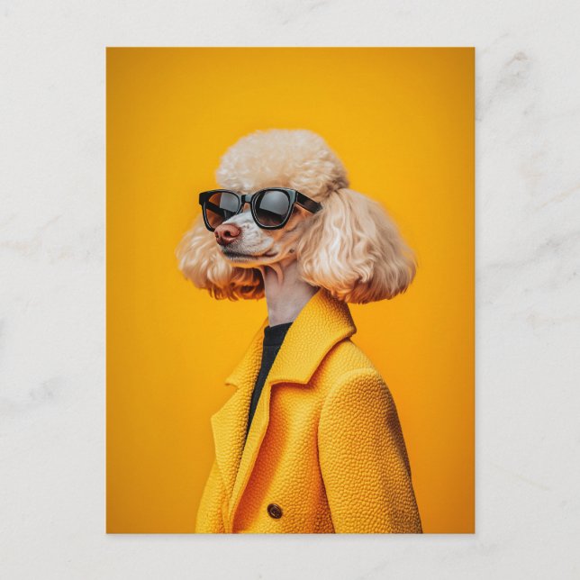 Cartão Postal Chic Poodle em óculos escuros e Casaco amarelo (Frente)
