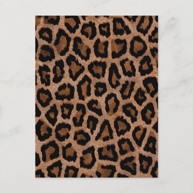 Cartão Postal Chic Trendy Leopard (Frente)