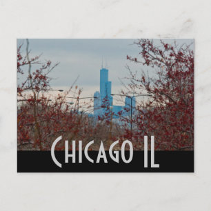 Cartão Postal chicago