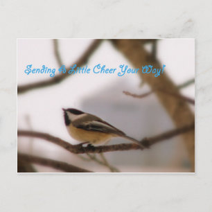 Cartão Postal Chickadee Cheer