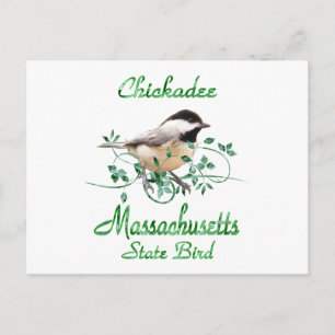 Cartão Postal Chickadee Massachusetts State Bird