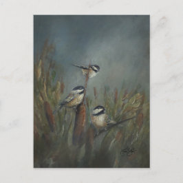 Cartão Postal Chickadee Pond