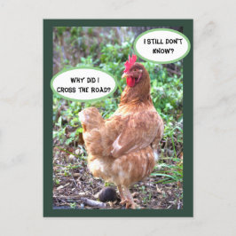 Cartão Postal Chicken Humor