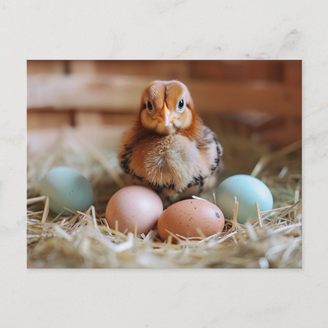 Cartão Postal Chicken Next to Easter Nest with Colorful Eggs (Frente)