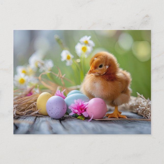 Cartão Postal Chicken stands beside an Easter nest with eggs (Frente)