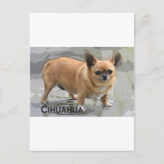 Cartão Postal Chihuahua ワ ワ ч и у х а х у а צ י ו ו א ו ו ה