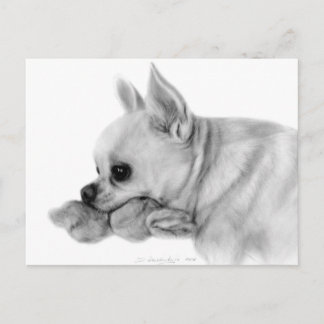 Cartão Postal Chihuahua Bela Pintada À Mão Com Brinquedo Favorit