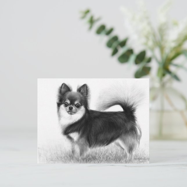 Cartão Postal Chihuahua - Belas Artes Originais (Em pé/Frente)