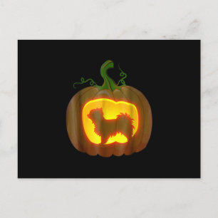 Cartão Postal Chihuahua de Cabelo Longo no Halloween