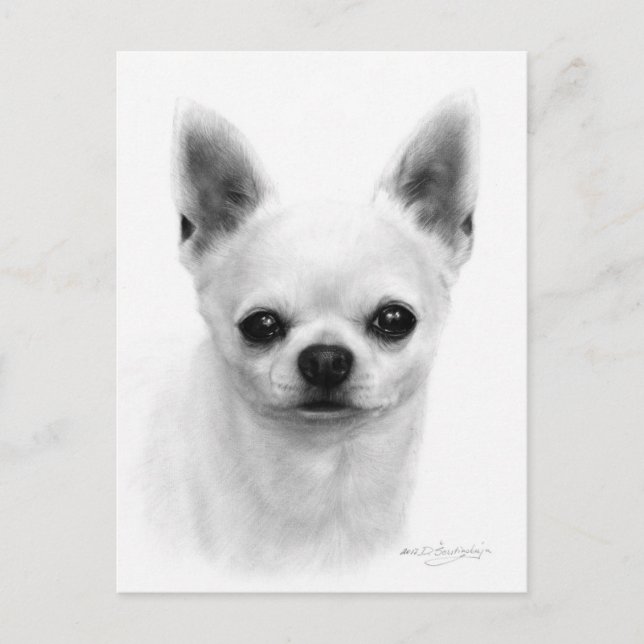Cartão Postal Chihuahua de Curto Cabelo Desenhado à Mão - Cão Re (Frente)