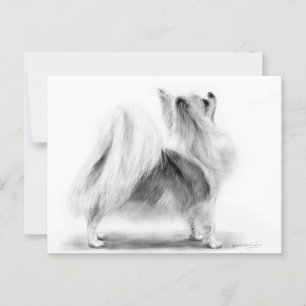 Cartão Postal Chihuahua, de longa distância, pintado à mão