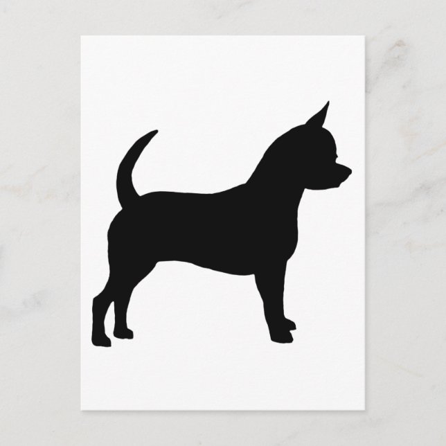 Cartão Postal Chihuahua Dog (Frente)