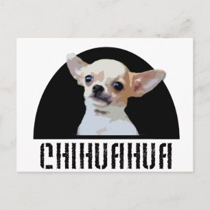 Cartão Postal Chihuahua Dog