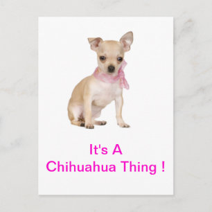 Cartão Postal Chihuahua É Uma Coisa Chihuahua